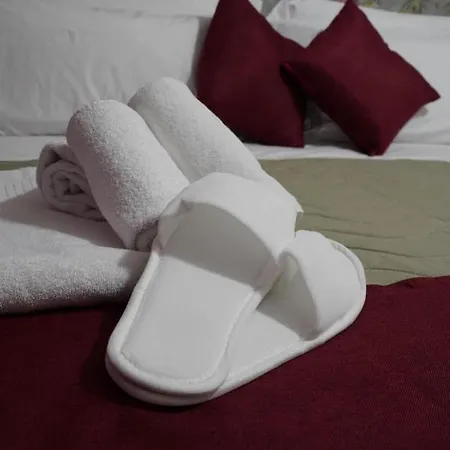 ベッド・アンド・ブレックファスト Frebi's -