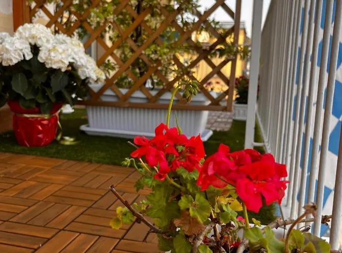 Frebi's - Bed & Breakfast 4*